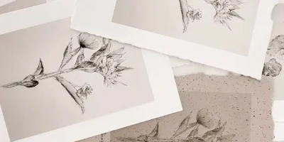 botaniczne_kartki_6_sztuk